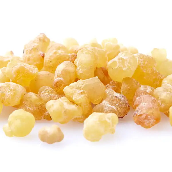 Equisalud Holofit BOSWELLIA FITOSOMADA 50 cápsulas