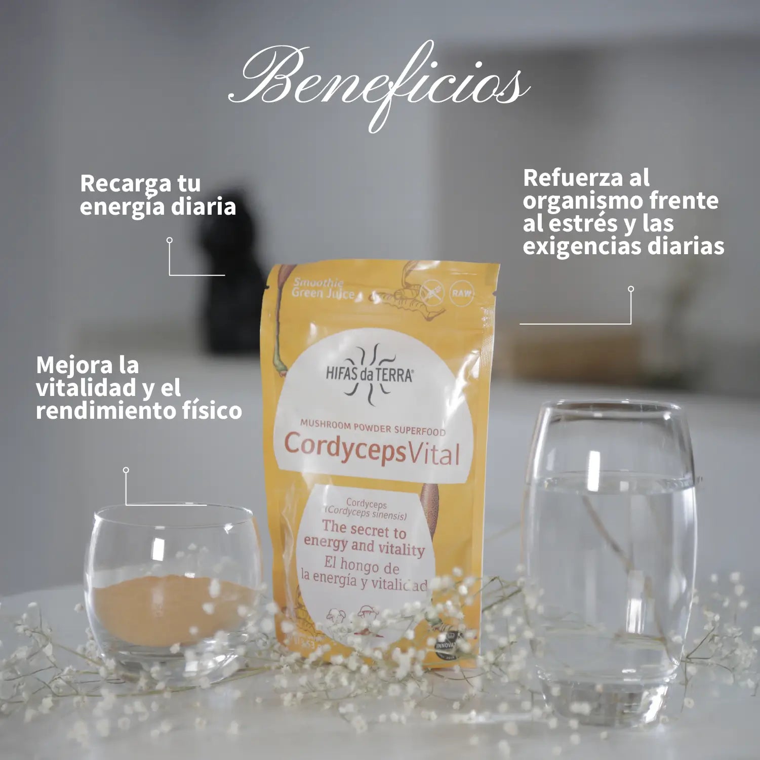 Cordyceps Vital (100 % Cordyceps-Pulver) 100 g