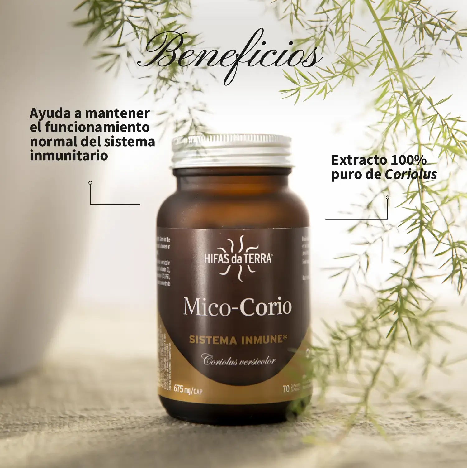 Mico-Corio 70 Kapseln