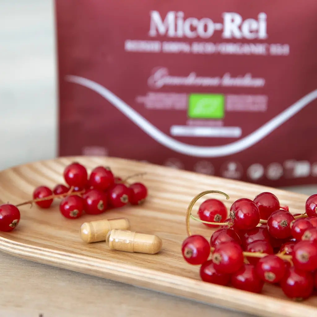 Hifas da Terra MICO-REI Refill 60 cápsulas