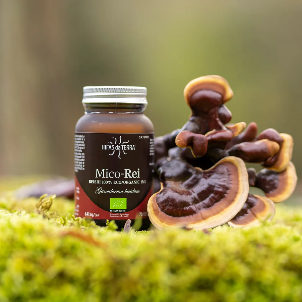 Hifas da Terra MICO-REI (extracto puro ecológico de Reishi) 70 cápsulas