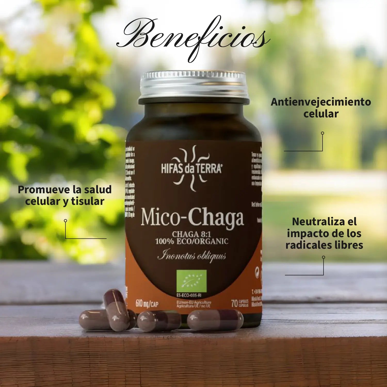 Mico-Chaga 70 Kapseln