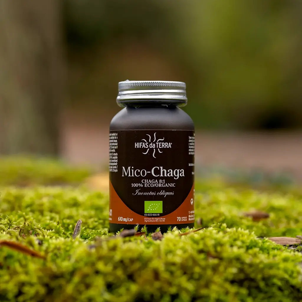 Hifas da Terra MICO-CHAGA 70 cápsulas