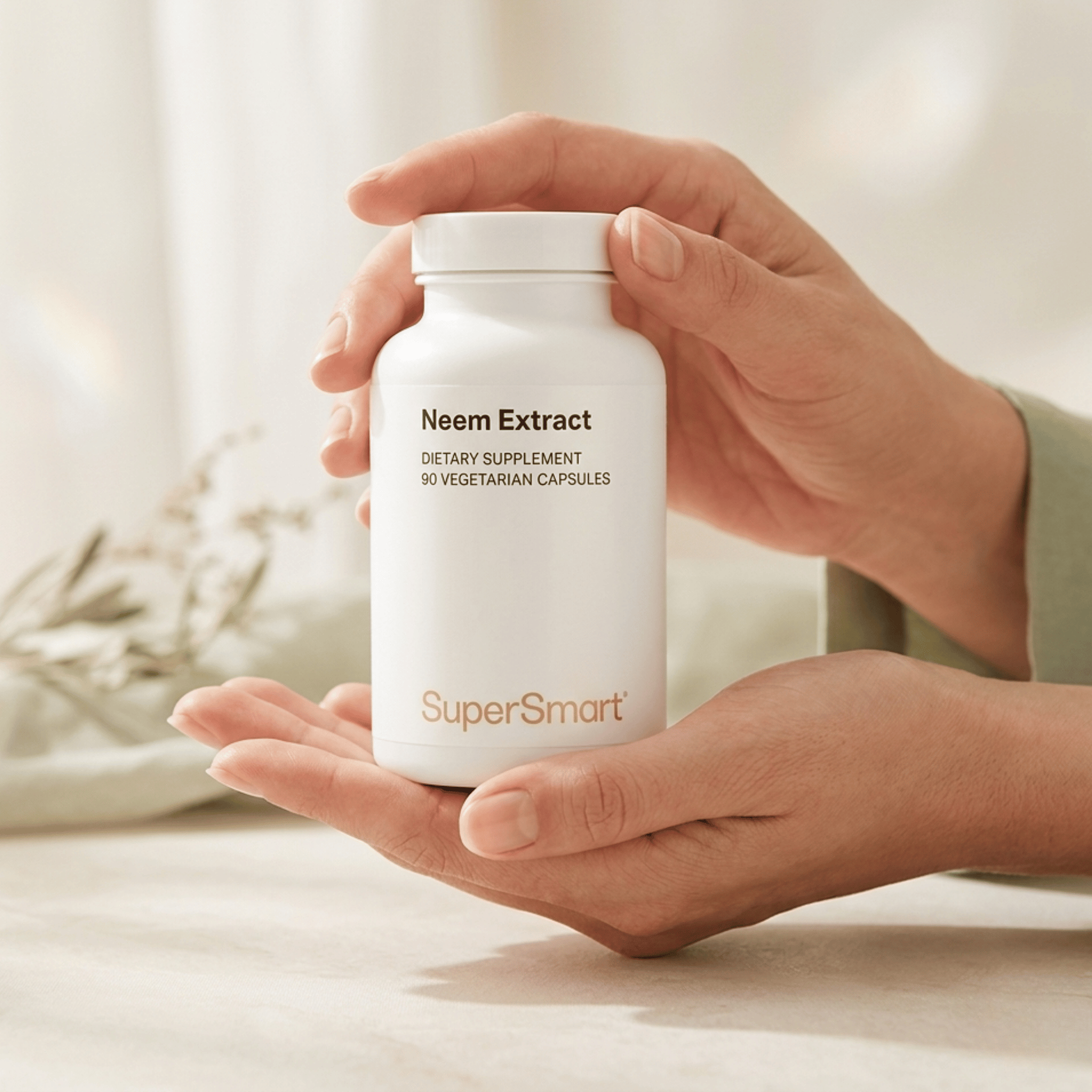 Neem Extract 90 cápsulas