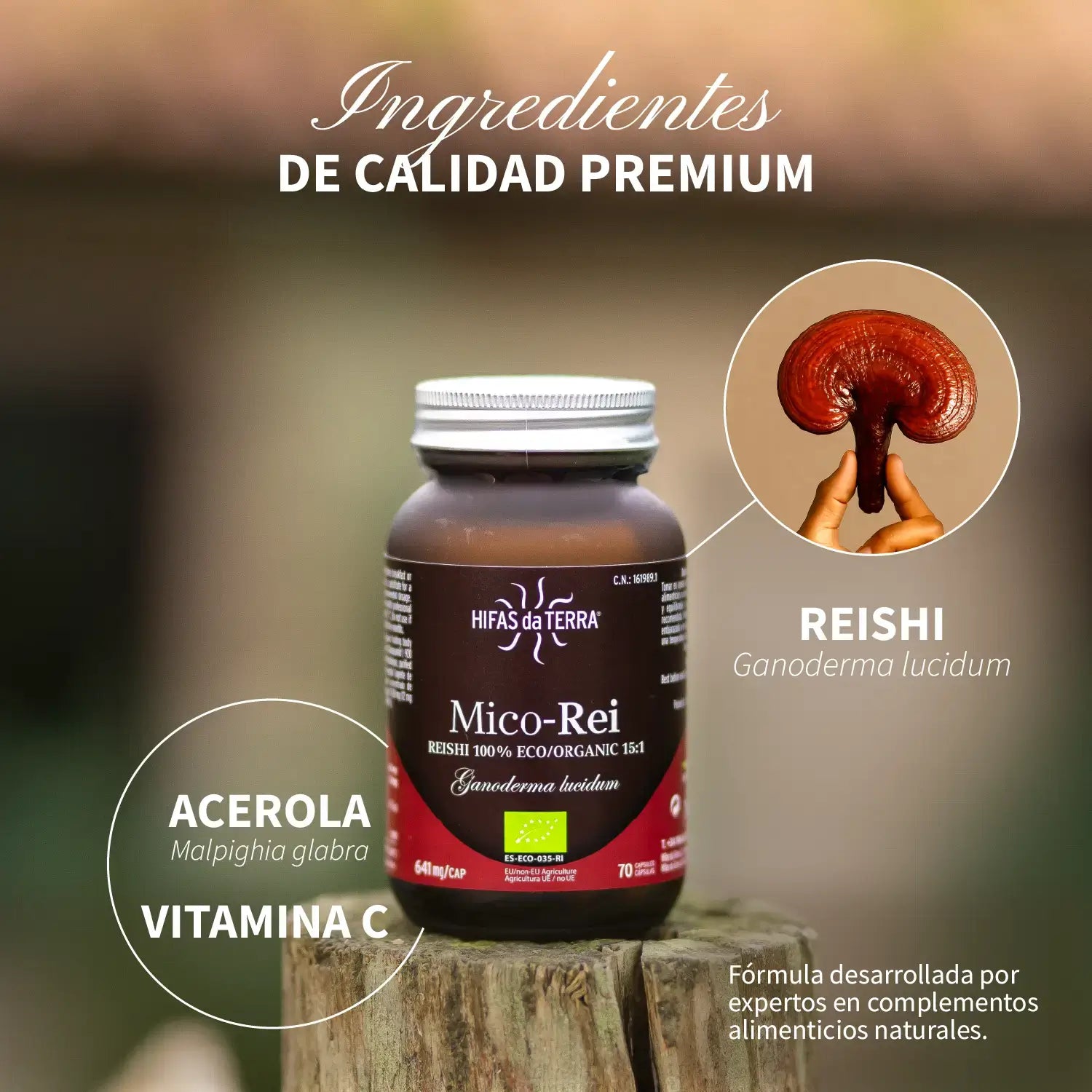 Mico-Rei 70 cápsulas de Hifas da Terra