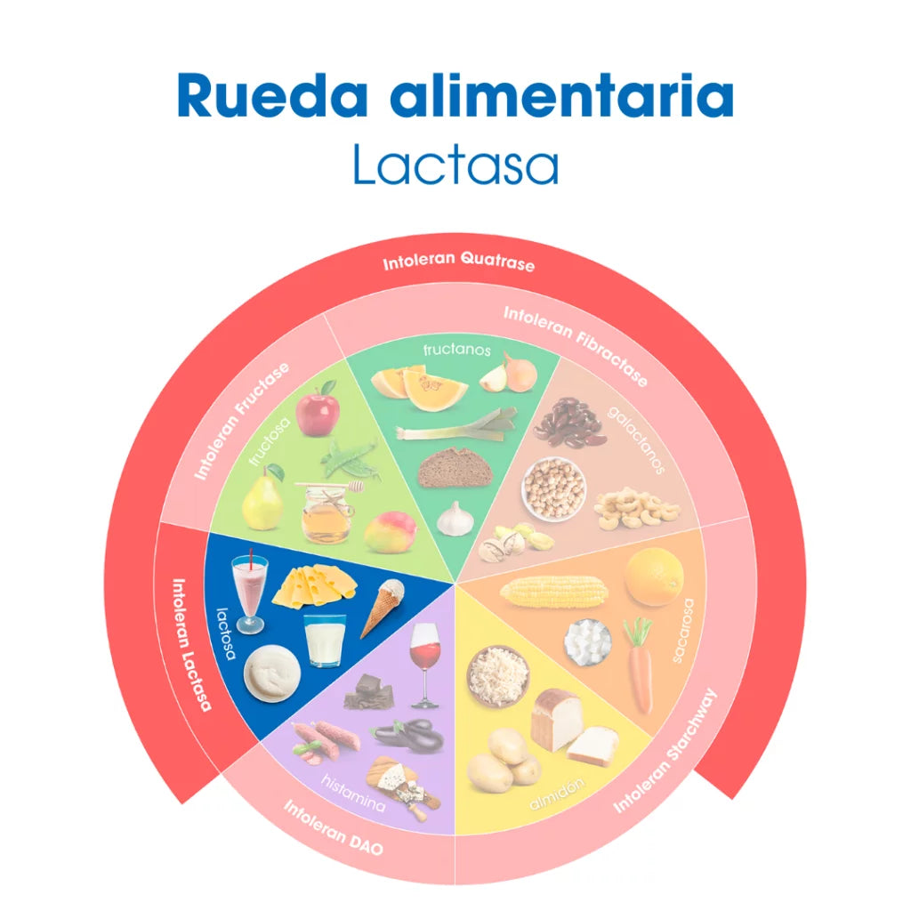 Lactasa 20.000 50 comprimidos de Intoleran