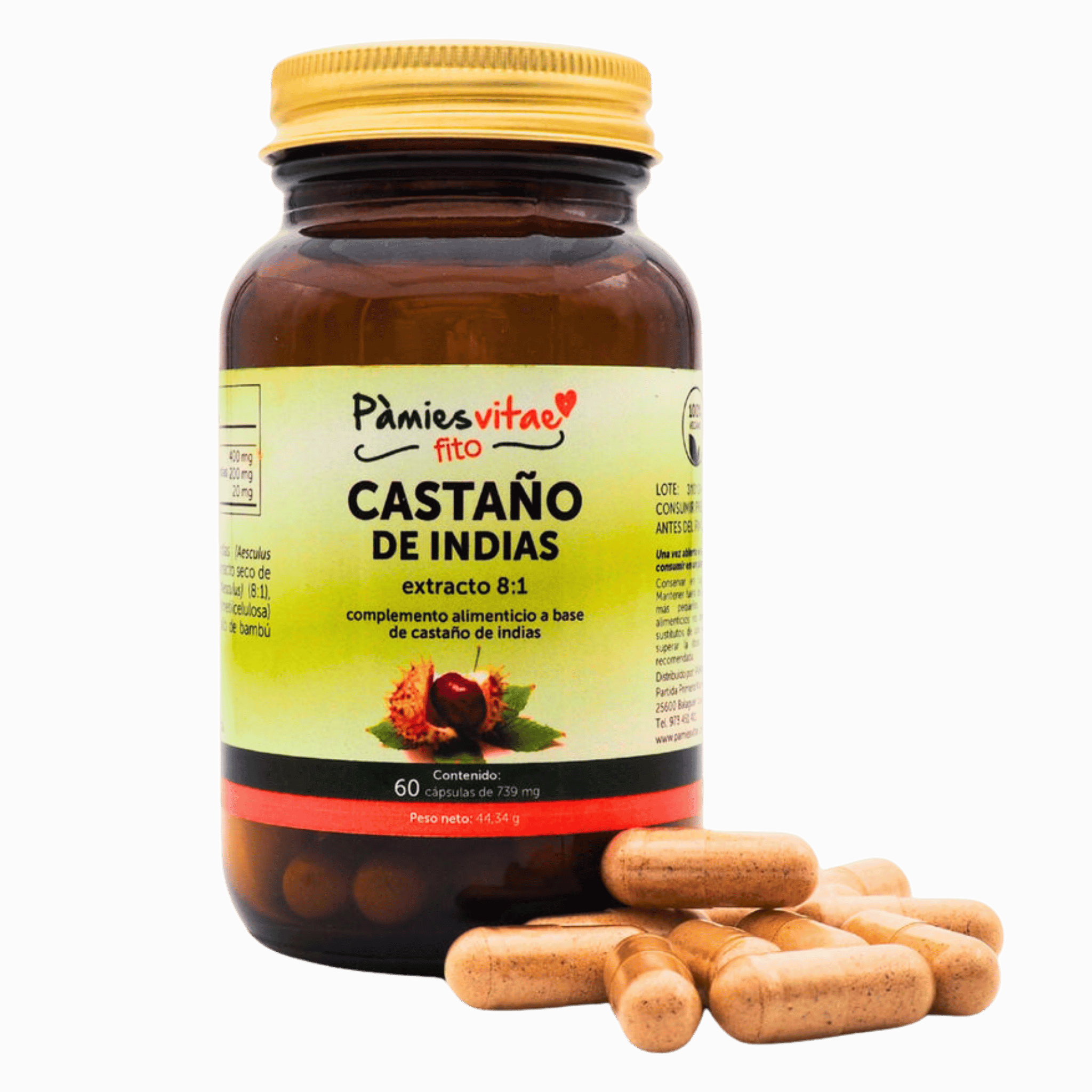 Castaño de Indias 60 cápsulas