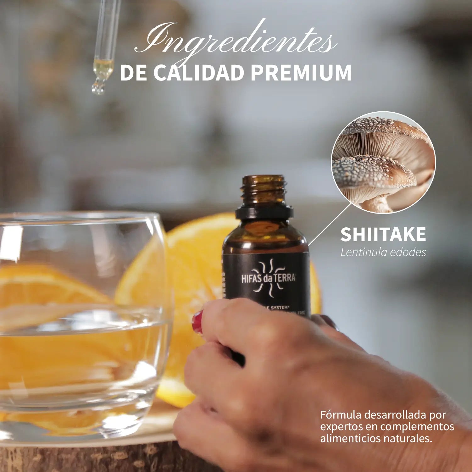 HIFAS-Lentinan (Flüssiger Shiitake-Extrakt) 30 ml