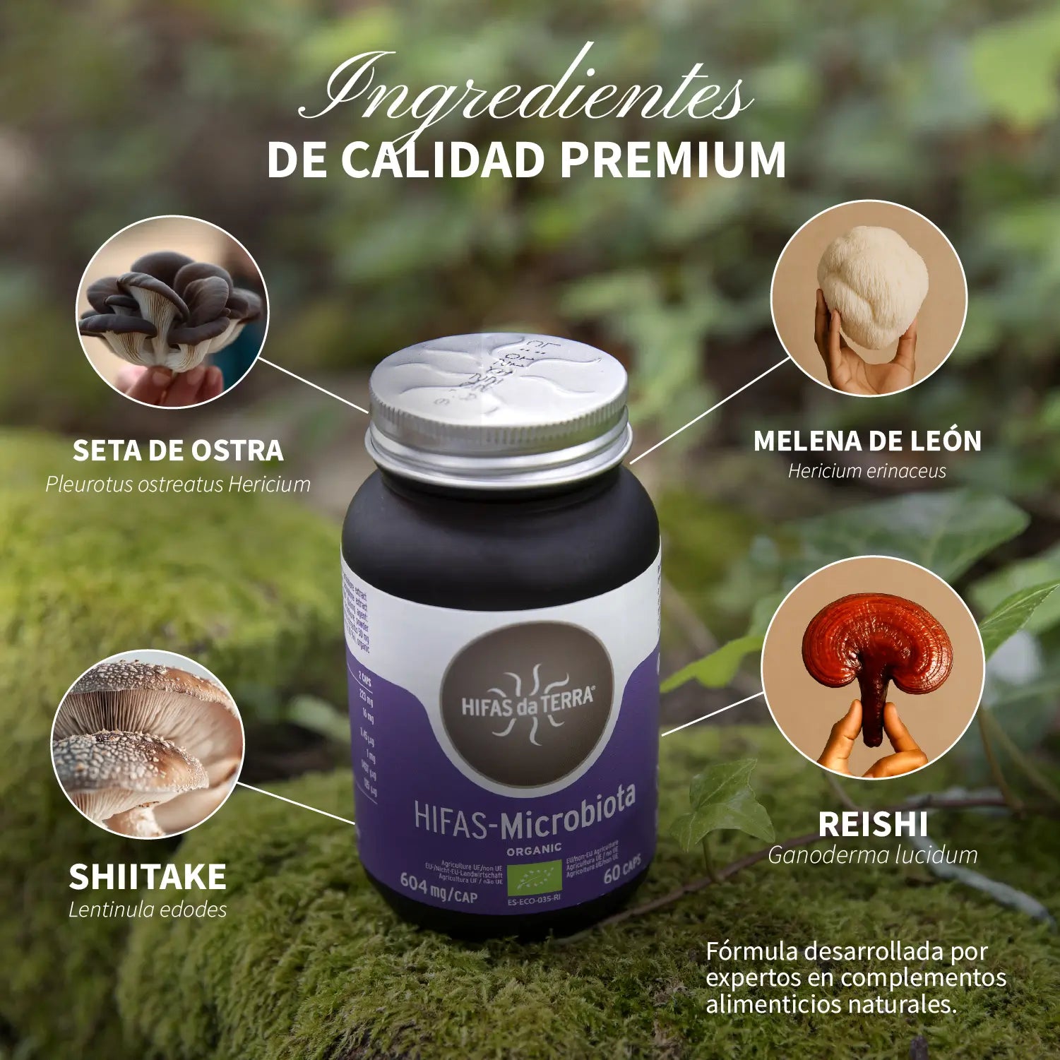 HIFAS-Mikrobiota 60 Kapseln