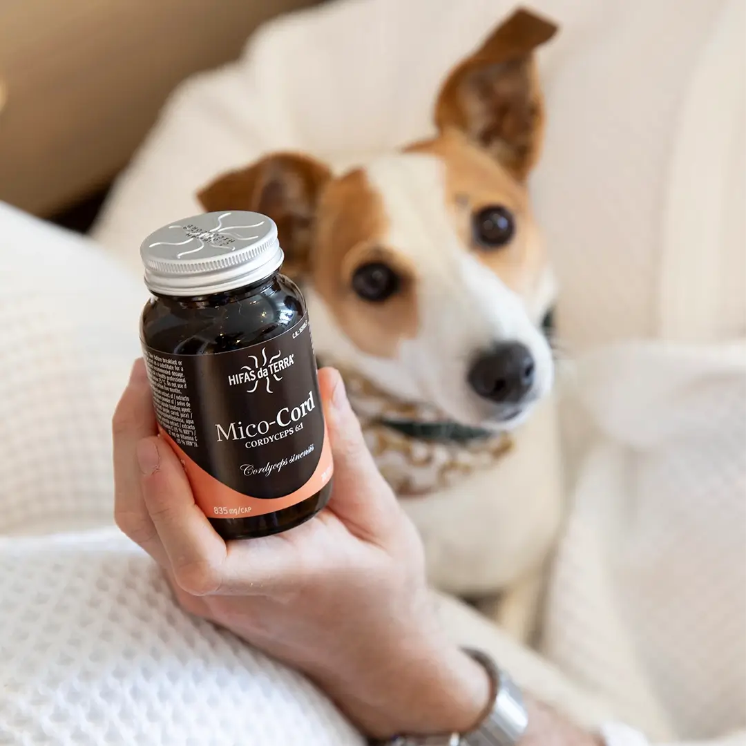 Mico-Cord 70 cápsulas