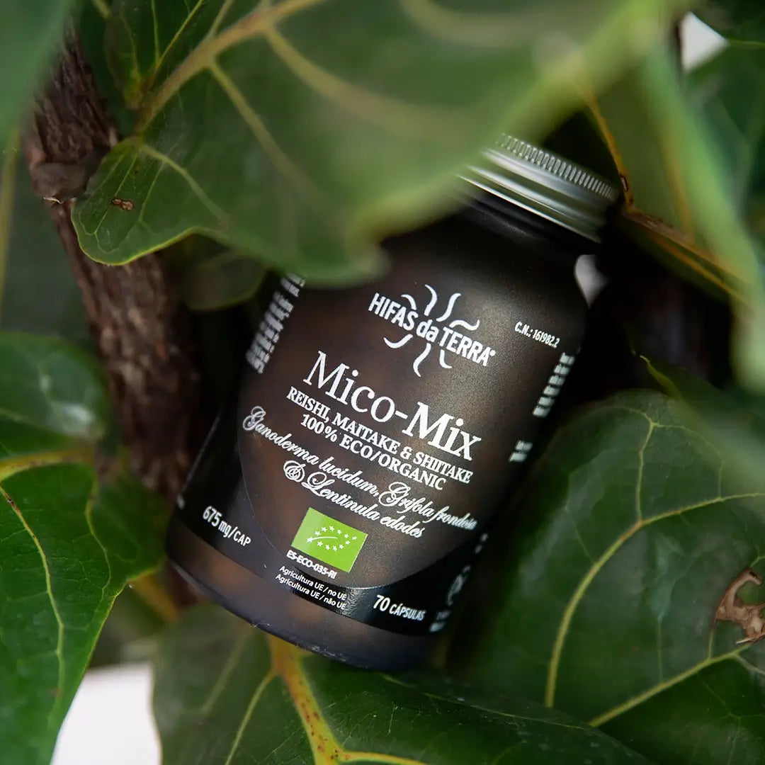 Hifas da Terra MICO-MIX 70 cápsulas