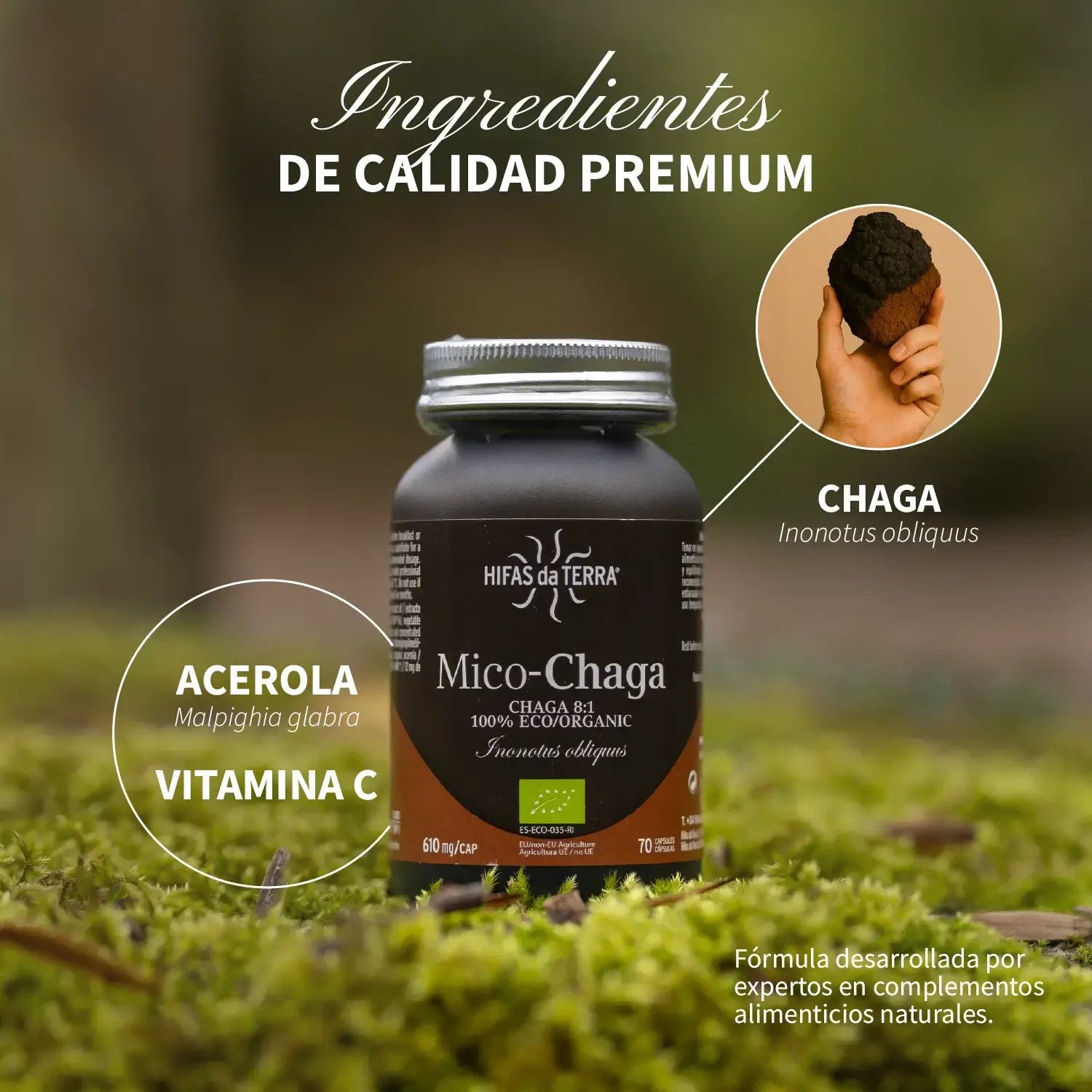 Mico-Chaga 70 Kapseln