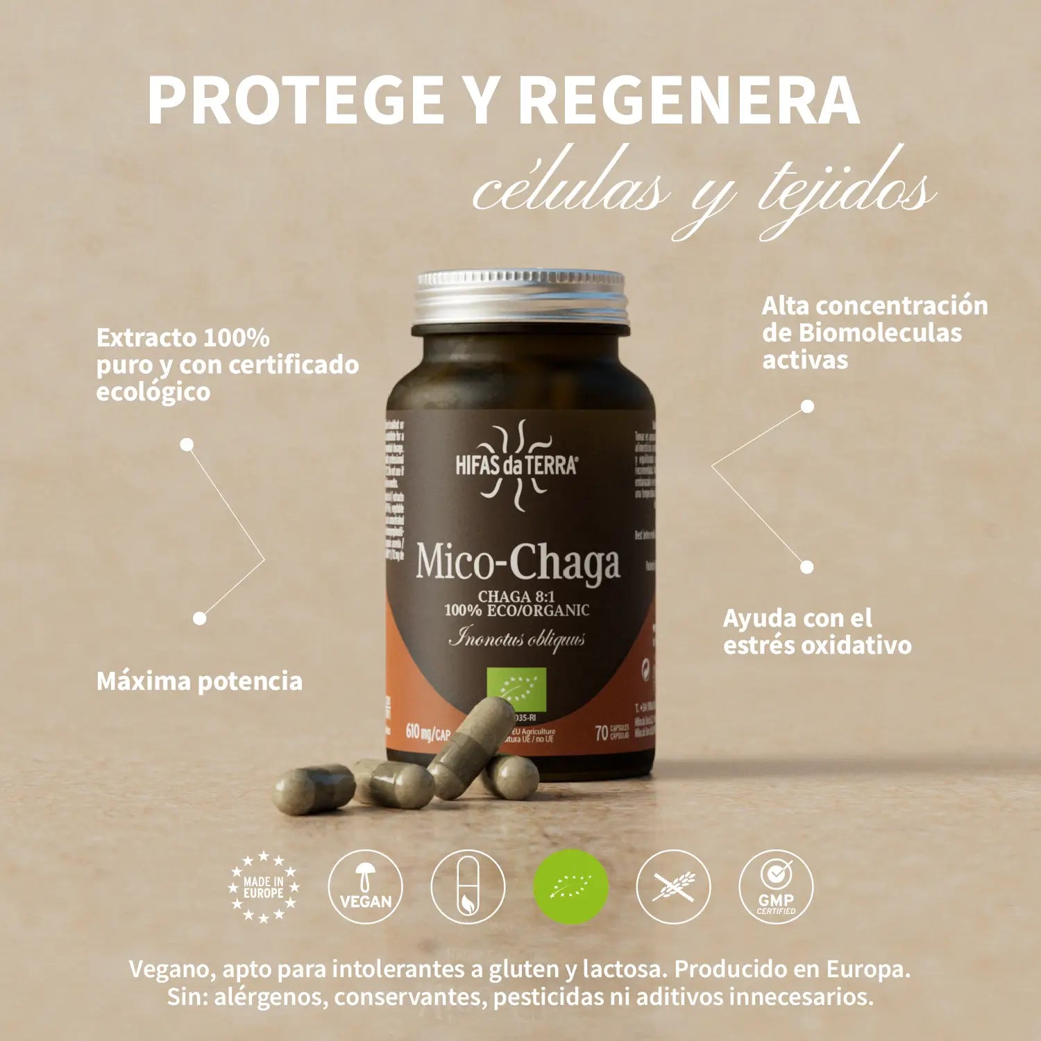 Mico-Chaga 70 Kapseln