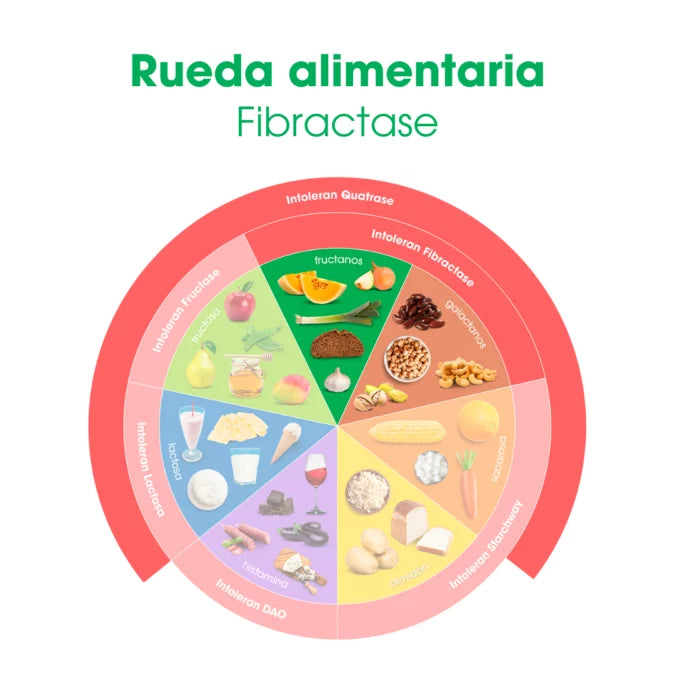 Intoleran FIBRACTASE 1200 (FORTE) 36 cápsulas