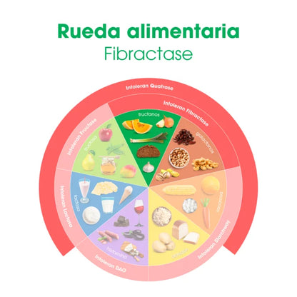 Intoleran FIBRACTASE 1200 (FORTE) 36 cápsulas