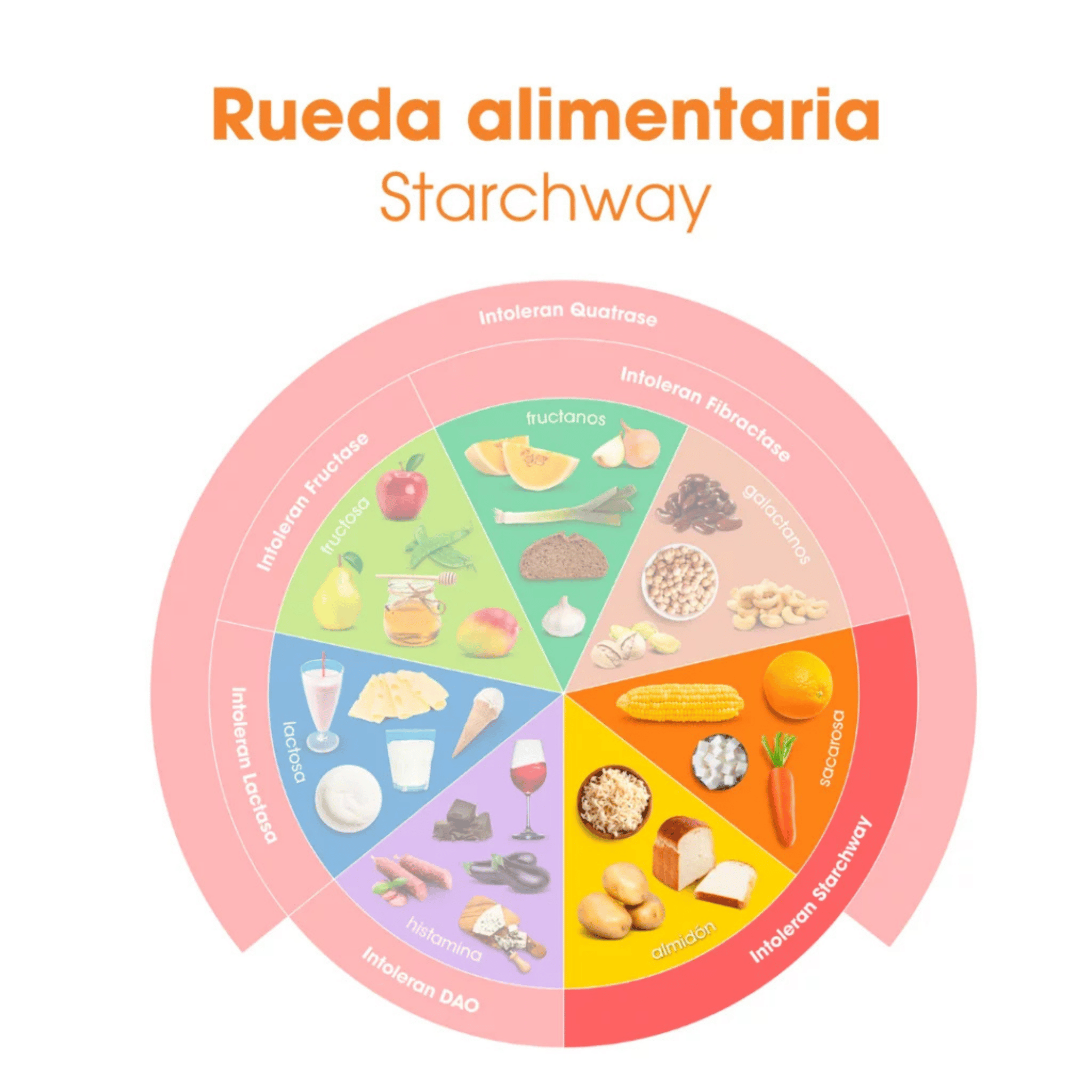 Starchway (enzimas para almidón y sacarosa) 50 cápsulas