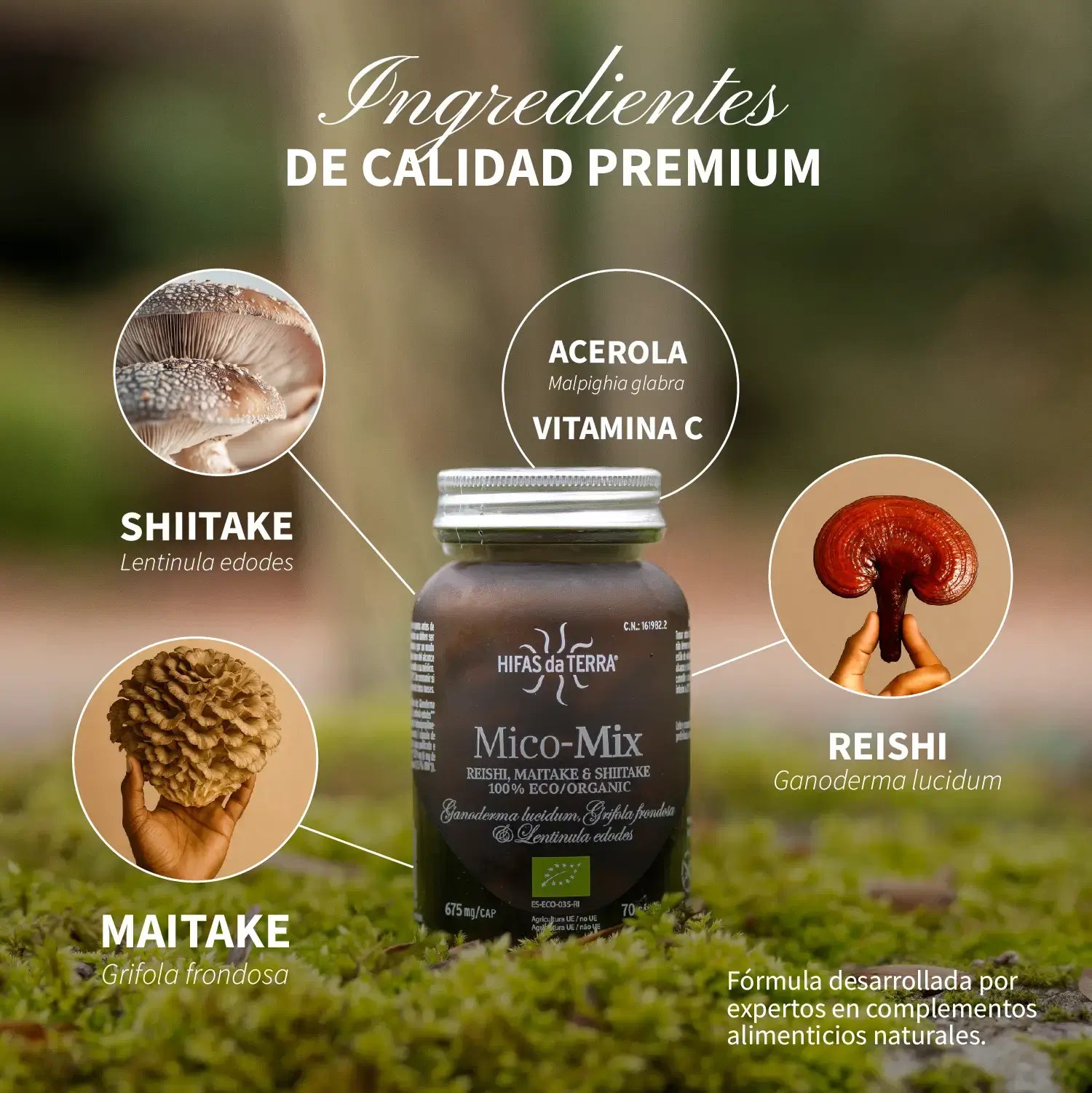 Mico-Mix 70 cápsulas de Hifas da Terra