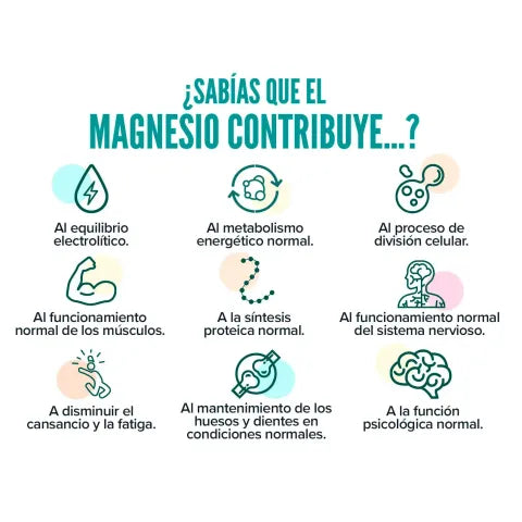 HSN Malato de Magnesio 1000 mg 120 comprimidos