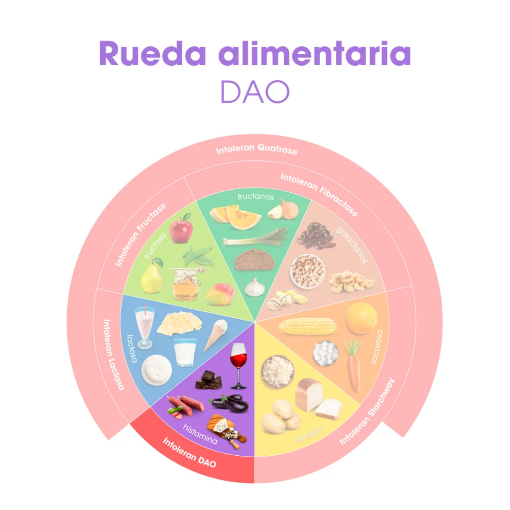 DAO Mini 60 comprimidos de Intoleran
