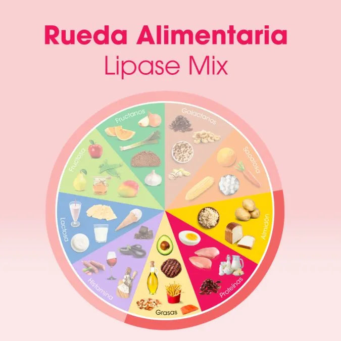 Rueda alimentaria Lipase Mix Intoleran